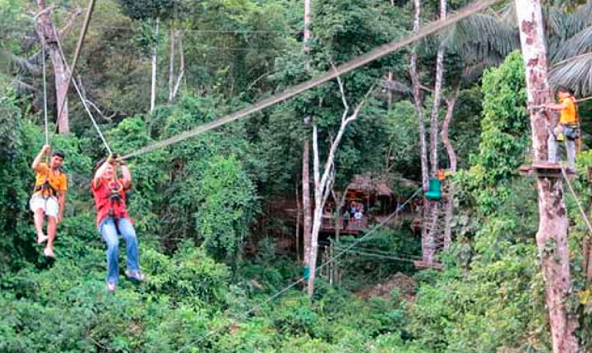 Экскурсия  Полет Тарзана, Tree Top, начало в 9:00, 11.00, 13:00