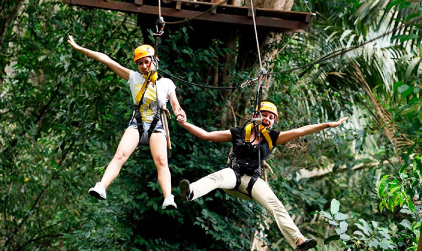 Экскурсия  Полет Тарзана, Tree Top, начало в 9:00, 11.00, 13:00