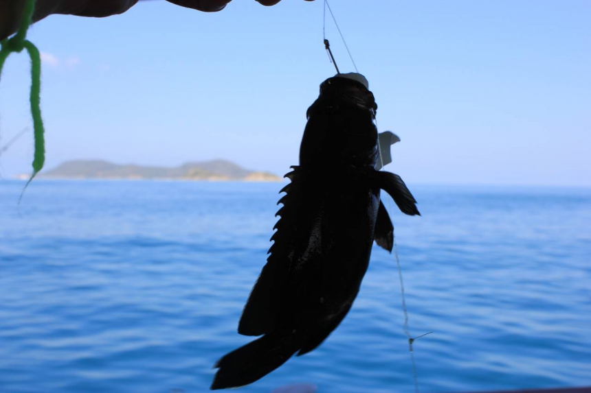 Экскурсия  Морская экскурсия 