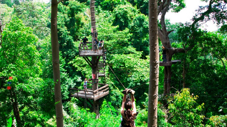 Экскурсия  Cable Rides -Зов Джунглей канатная высотная дорога