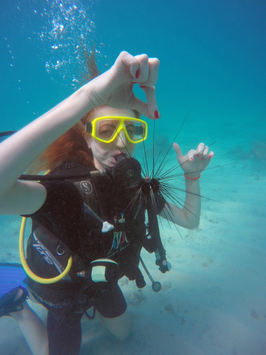Экскурсия  Discover Scuba Diving, 2 погружения, без PADI