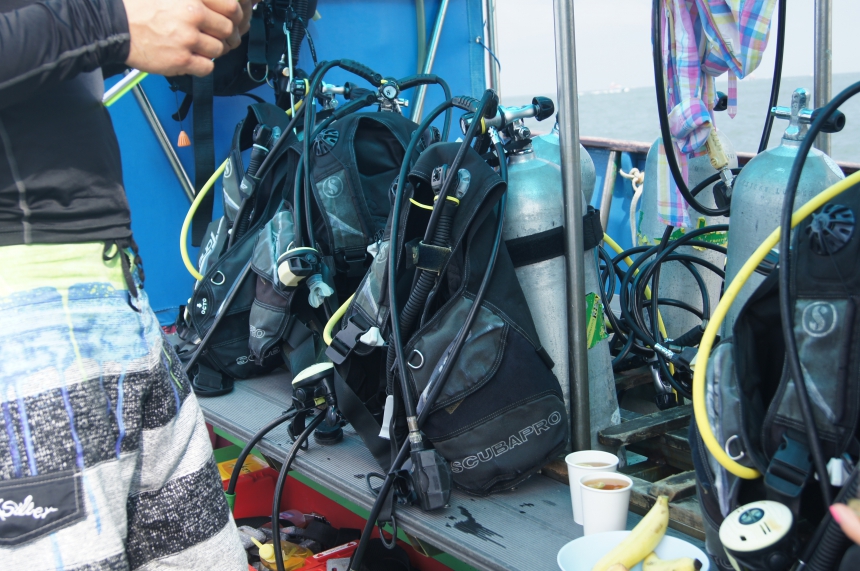 Экскурсия  Discover Scuba Diving, 2 погружения, c сертификатом PADI