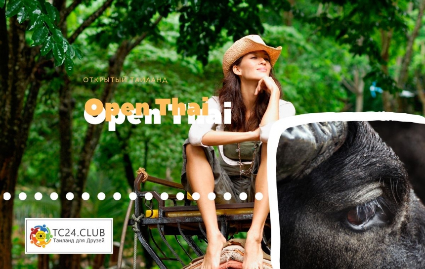 OPEN THAI 